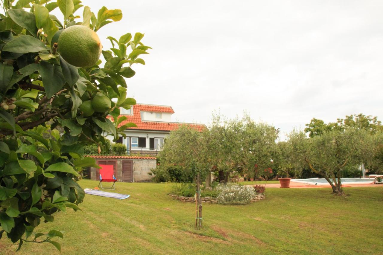 Ferienwohnung La Casa Di Iole Cogna Exterior foto